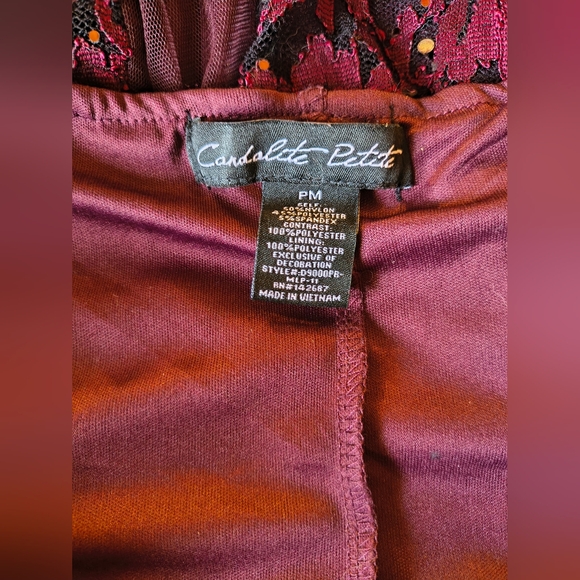 Sleeveless Burgundy Lace Maxi Dress with Scalloped V-Neck - Picture 2 of 4